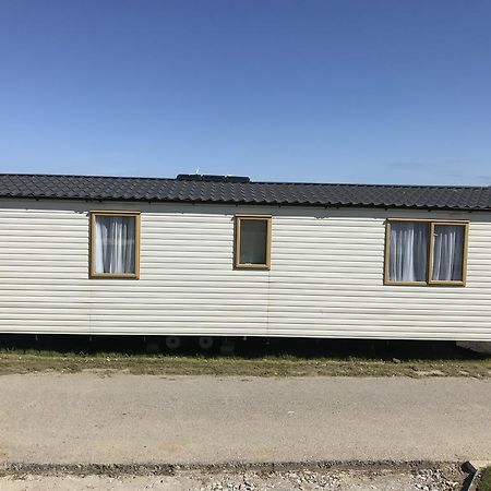 Ladyevelyn Hotell New Quay Eksteriør bilde